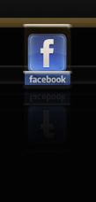Il profilo Facebook